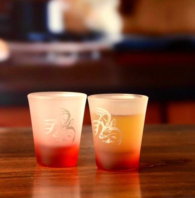 2oz Tinting Color Frozen Matte Unique Shot Glasses
