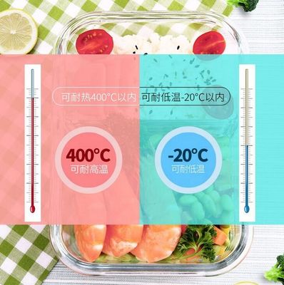 Borosilicate Pressed Glass Lunch Boxes With Locking Lids