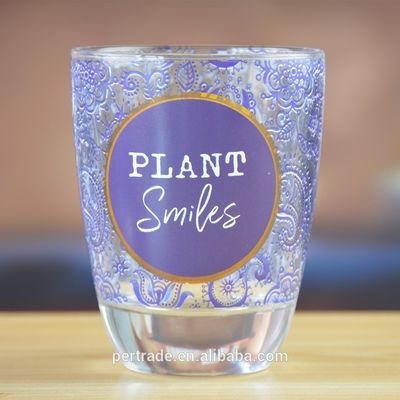 Heavy Duty Tumbler Drinking Glasses With Decorated Pattern