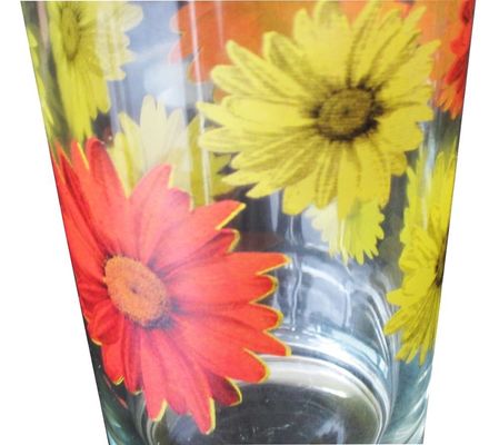 Silk Printed Blooming Daisy 16 Oz Highball Glasses
